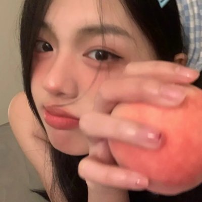二呆流浪记之完全大人手册